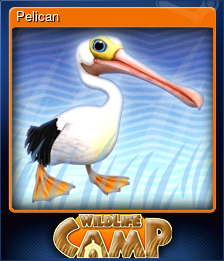 Series 1 - Card 6 of 6 - Pelican