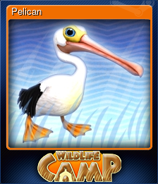 Pelican