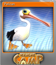 Series 1 - Card 6 of 6 - Pelican