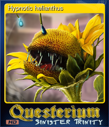 Series 1 - Card 4 of 5 - Hypnotic helianthus