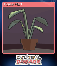 Series 1 - Card 5 of 7 - House Plant