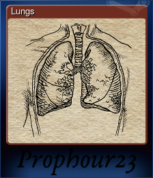 Series 1 - Card 2 of 6 - Lungs