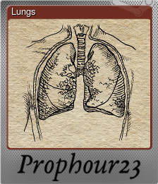 Series 1 - Card 2 of 6 - Lungs