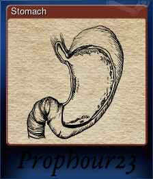Series 1 - Card 4 of 6 - Stomach