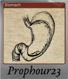 Series 1 - Card 4 of 6 - Stomach