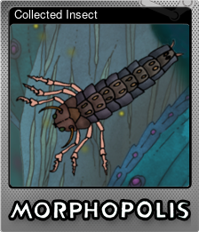 Series 1 - Card 5 of 5 - Collected Insect