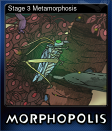 Stage 3 Metamorphosis