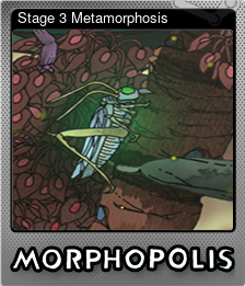 Series 1 - Card 1 of 5 - Stage 3 Metamorphosis