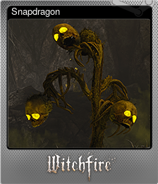 Series 1 - Card 8 of 8 - Snapdragon