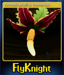 Amorphophallus Immensus