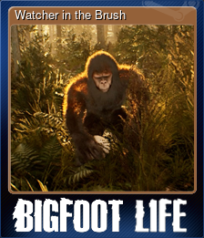 Watcher in the Brush