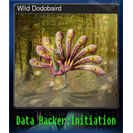 Wild Dodobaird