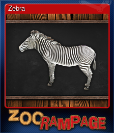 Series 1 - Card 5 of 7 - Zebra