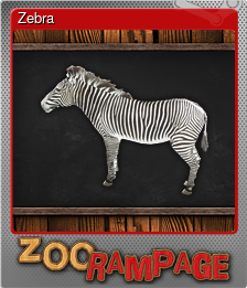 Series 1 - Card 5 of 7 - Zebra