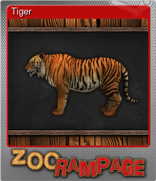 Series 1 - Card 4 of 7 - Tiger