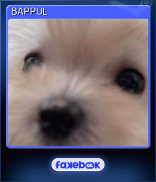 BAPPUL