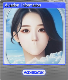 Series 1 - Card 12 of 12 - Aviation_Information