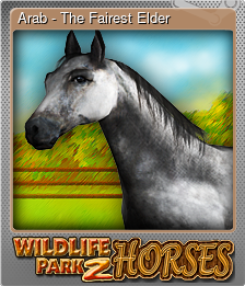 Series 1 - Card 3 of 10 - Arab - The Fairest Elder