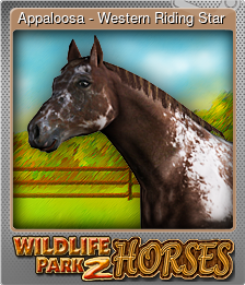 Series 1 - Card 2 of 10 - Appaloosa - Western Riding Star