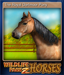 The Royal Dartmoor Pony