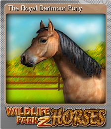 Series 1 - Card 4 of 10 - The Royal Dartmoor Pony