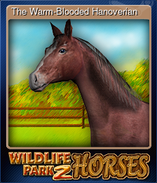 Series 1 - Card 7 of 10 - The Warm-Blooded Hanoverian