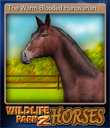 The Warm-Blooded Hanoverian