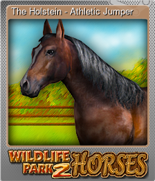 Series 1 - Card 8 of 10 - The Holstein - Athletic Jumper