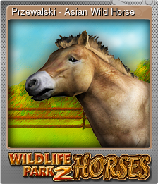 Series 1 - Card 9 of 10 - Przewalski - Asian Wild Horse
