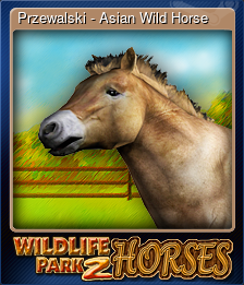 Series 1 - Card 9 of 10 - Przewalski - Asian Wild Horse