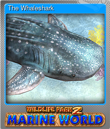 Series 1 - Card 7 of 8 - The Whaleshark