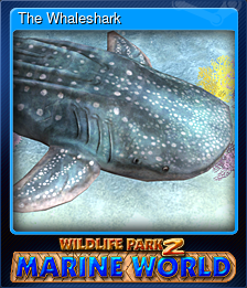 Series 1 - Card 7 of 8 - The Whaleshark
