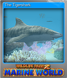 Series 1 - Card 6 of 8 - The Tigershark