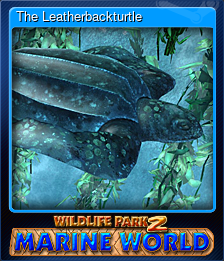 Series 1 - Card 3 of 8 - The Leatherbackturtle