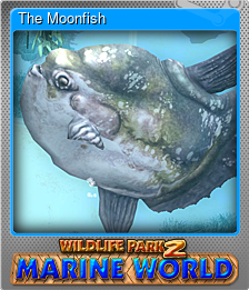 Series 1 - Card 5 of 8 - The Moonfish
