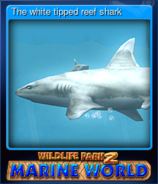 Series 1 - Card 8 of 8 - The white tipped reef shark