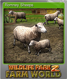Series 1 - Card 1 of 6 - Romney Sheeps