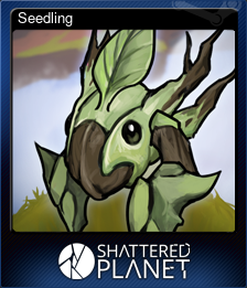 Seedling