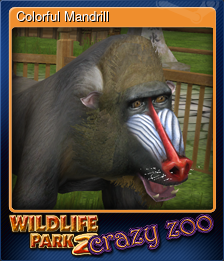 Series 1 - Card 7 of 7 - Colorful Mandrill