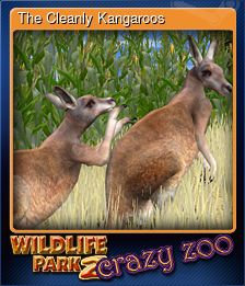 The Cleanly Kangaroos