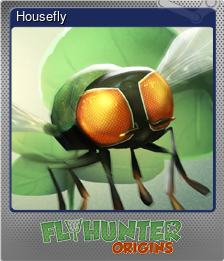 Series 1 - Card 4 of 5 - Housefly