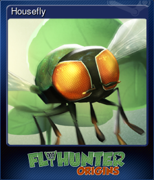 Series 1 - Card 4 of 5 - Housefly
