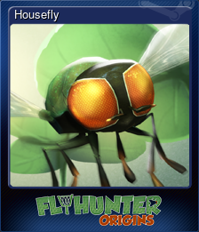 Housefly