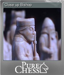 Series 1 - Card 7 of 8 - Close up Bishop