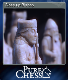 Series 1 - Card 7 of 8 - Close up Bishop