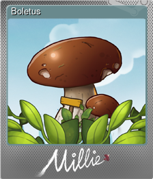 Series 1 - Card 1 of 6 - Boletus