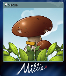 Series 1 - Card 1 of 6 - Boletus