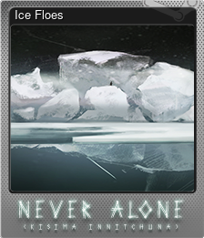 Series 1 - Card 8 of 9 - Ice Floes