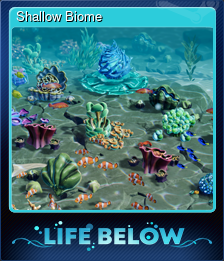 Shallow Biome