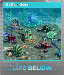 Series 1 - Card 1 of 5 - Shallow Biome